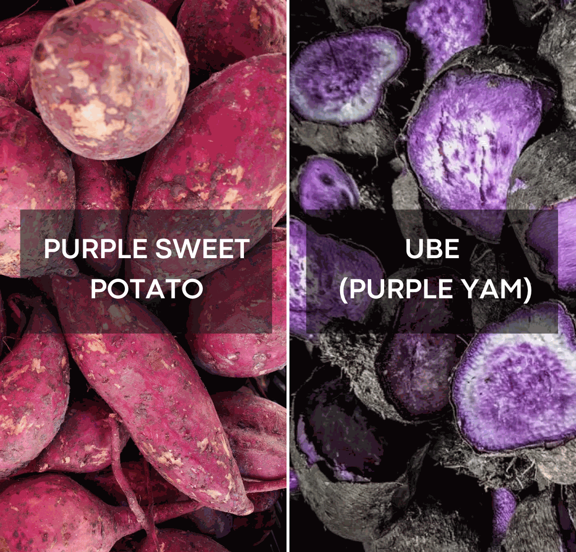 Ube vs Patata Dolce Viola