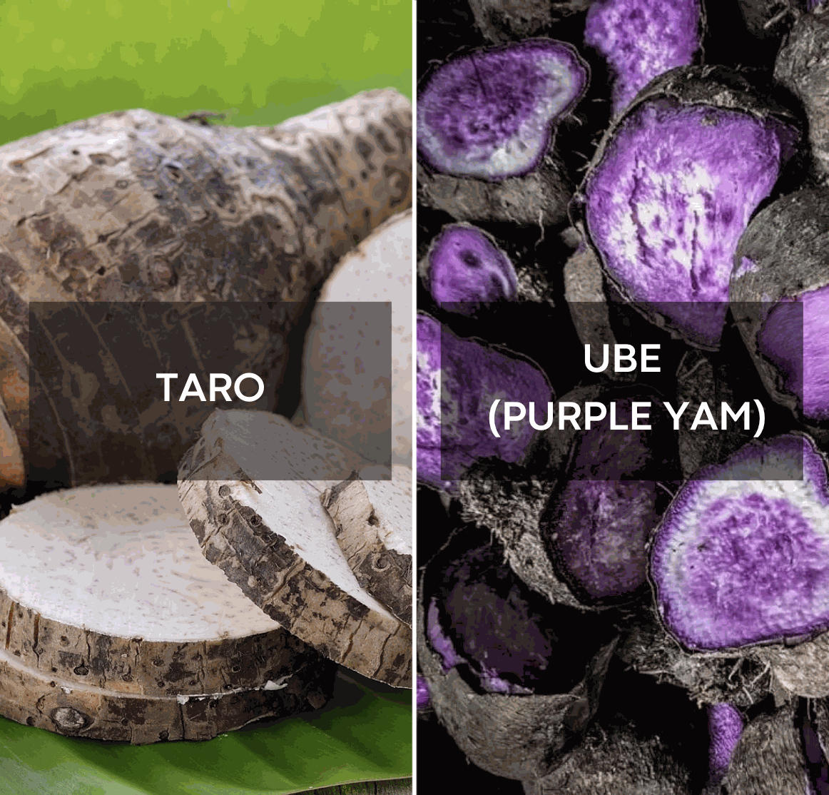 Ube vs Taro: qual è la vera differenza?