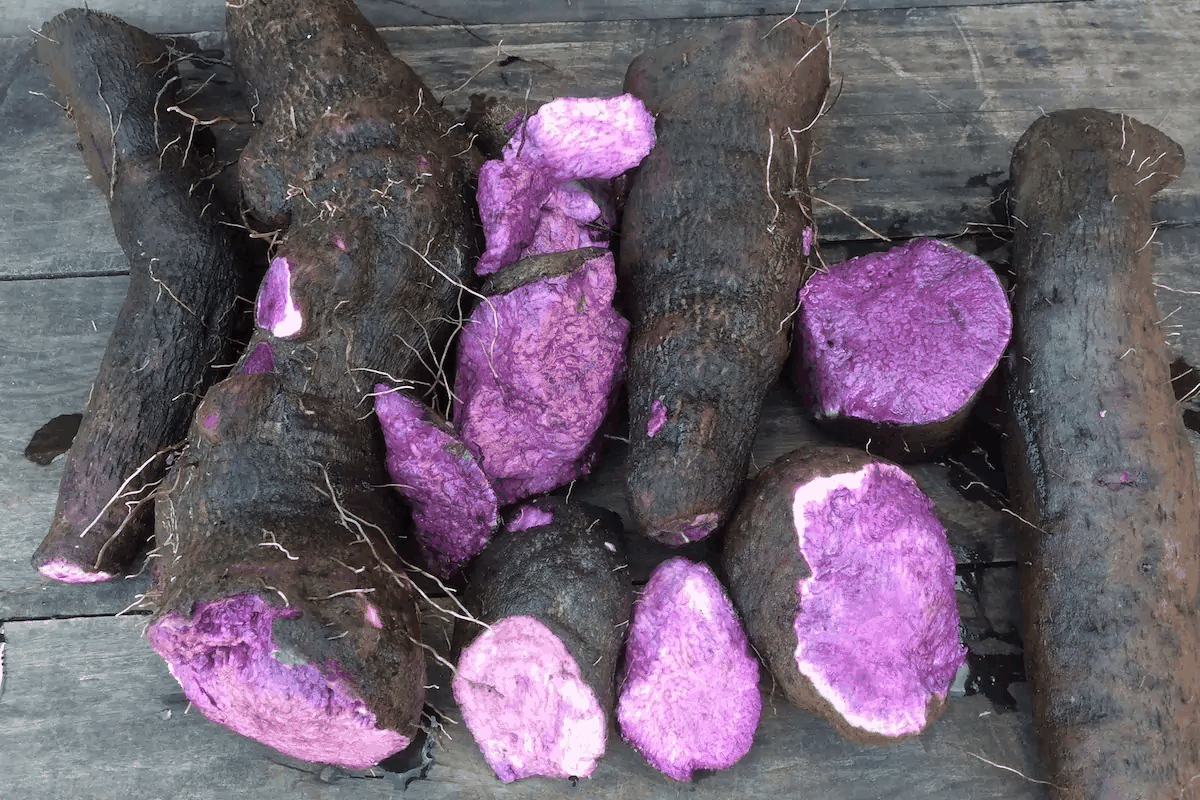 Cos'è Ube? Guida completa alla patata viola