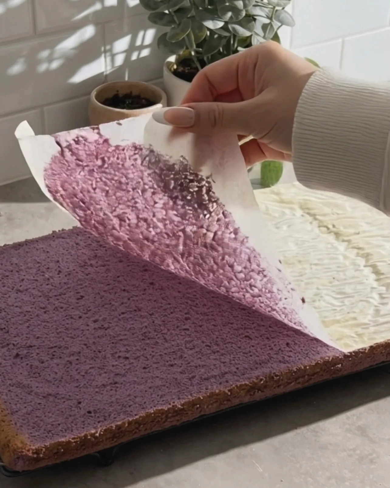 Staccare la carta forno da una sfoglia di chiffon cake viola all'ube appena sfornata di Ube Nolia