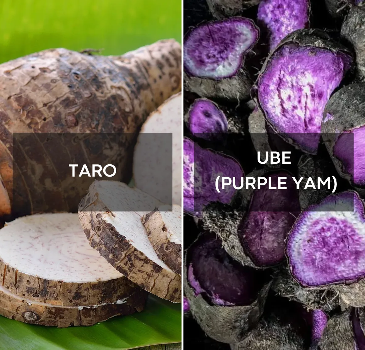 Confronto ube vs taro: la polvere di ube viola | Ube Nolia